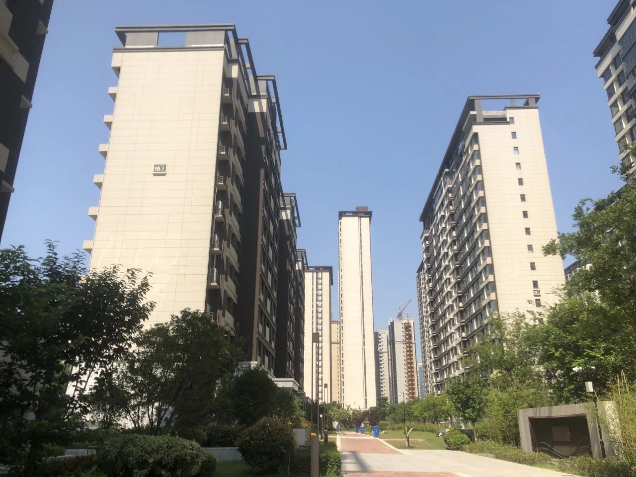 新蒲集團